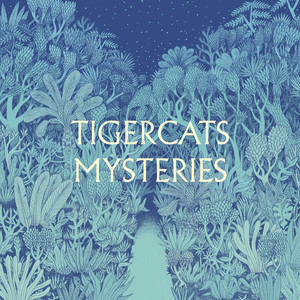 Mysteries cover