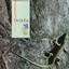 The International Tracks cover