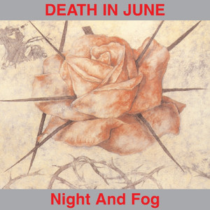 Night and Fog album