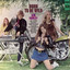 Born to Be Wild cover
