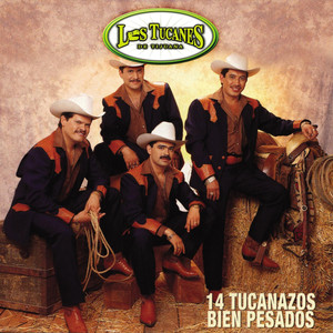 14 Tucanazos Bien Pesados album
