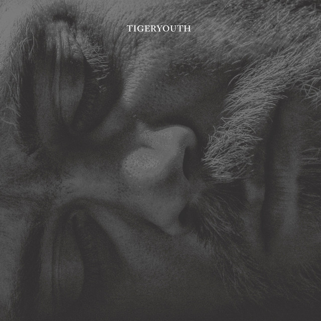 Tigeryouth cover
