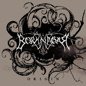 Origin cover