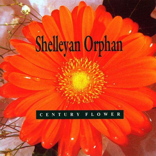 Century Flower cover