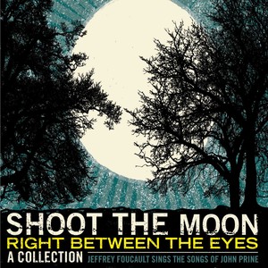 Shoot The Moon Right Between The Eyes Albumcover