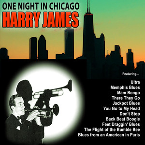 One Night In Chicago album