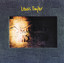 Lewis Taylor Albumcover