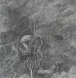 Infera Bruo profile