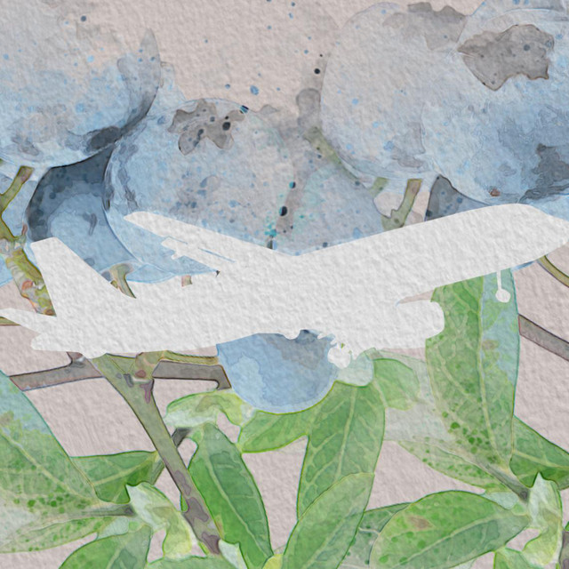 Through & Through Artist | Chillhop