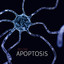 Apoptosis Albumcover