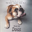 The Canine Composer's Series