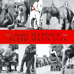 Blind Man's Zoo album