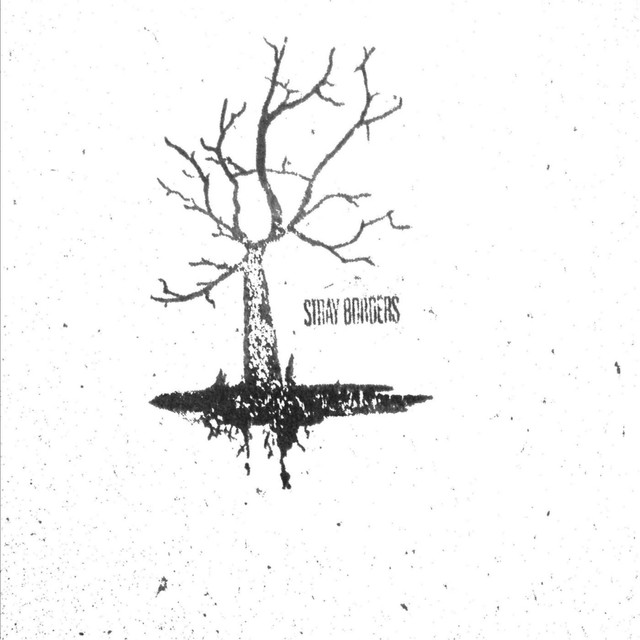 Stray Borders Photo