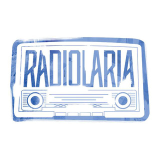 Radiolaria Photo