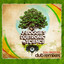 Soul Vibrations Dub Remixes cover