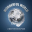 Wonderful World cover