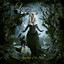 Symphonies of the Night cover
