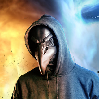 Mad Crow Photo