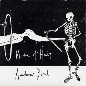 Music of Hair album