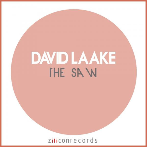 David Laake Photo