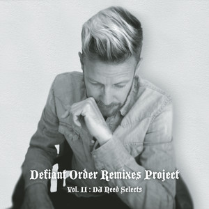 DJ Need Selects, Vol. II - The Remixes album
