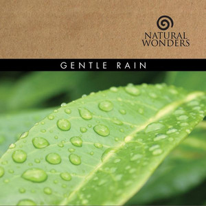 Gentle Rain cover