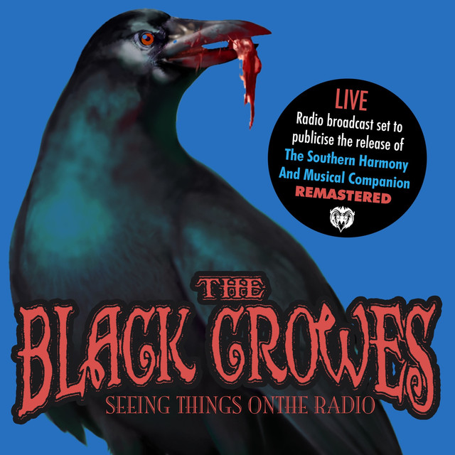Seeing Things On The Radio (Remastered) [Live Stereo FM Radio Broadcast Set. Jul 5th '92] Albumcover