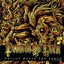 Gallop Meets the Earth cover