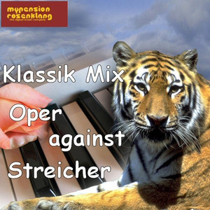Classical Music Mix - Oper Arie Against Strings / Klassik Mix - Oper Gegen Streicher album