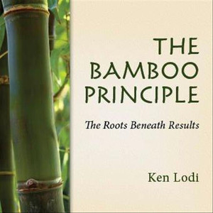 Ken Lodi