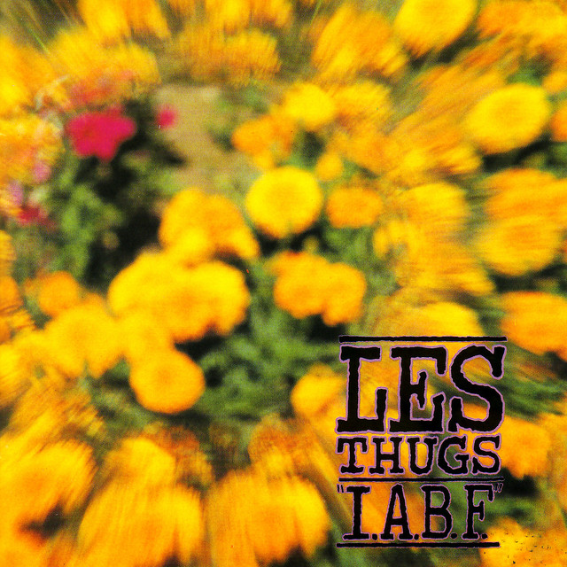 Iabf cover
