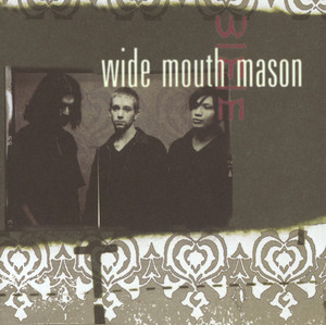 Wide Mouth Mason cover