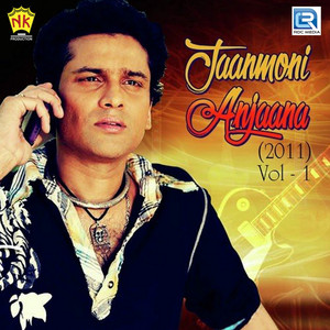 Jaanmoni Anjaana 2011, Vol. 1 album