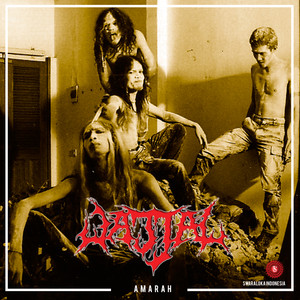 Amarah cover