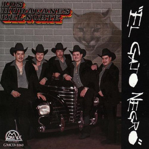 El gato negro cover