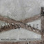 Winter Tale Albumcover