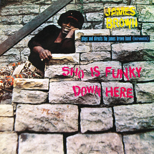 Sho Is Funky Down Here album
