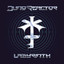 Labyrinth cover