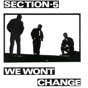 We Won't Change cover