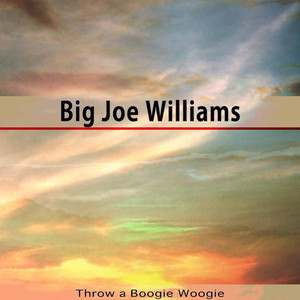 Throw a Boogie Woogie album