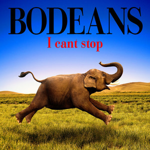 I Can't Stop album