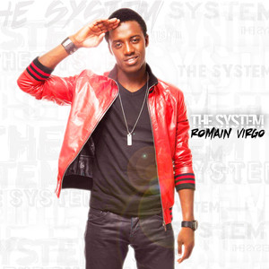The System cover