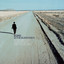 What Are You Going to Do With Your Life? cover