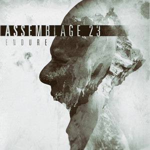Endure album