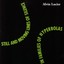 Still and Moving Lines of Silence in Families of Hyperbolas Albumcover