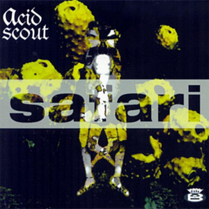Safari cover