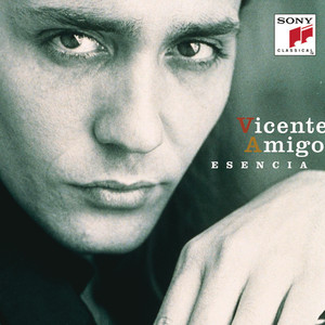 Esencia : The Best of Vicente Amigo album