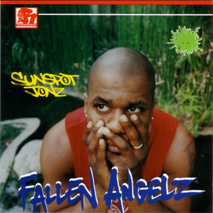 Fallen Angelz cover