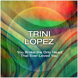You Broke the Only Heart That Ever Loved You cover