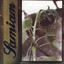 Samiam cover